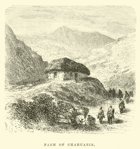 Farm of Chahuaris